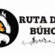 Imagen de WhatsApp 2025-06-12 a las 11.05.38_32a26bbb
