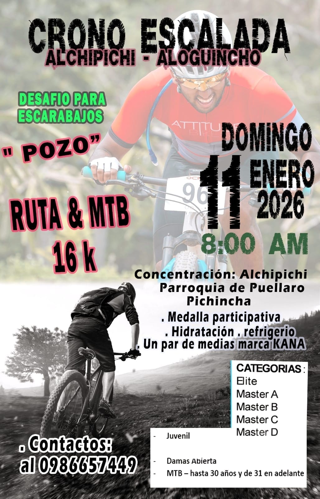 Imagen de WhatsApp 2025-12-03 a las 20.19.23_eb19b6e8